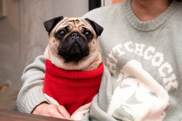 アザーカット。