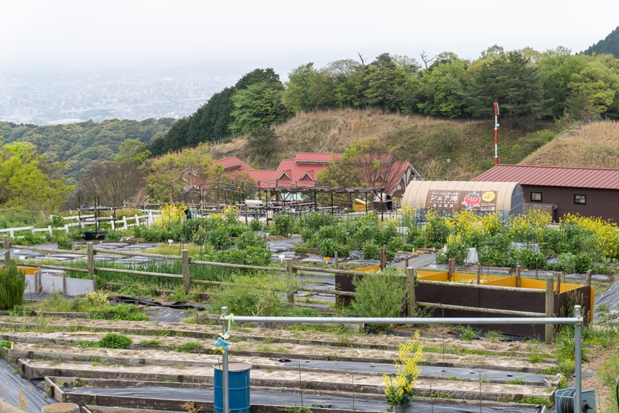 「シェア畑」には、農具や種・苗、肥料などが完備。経験豊富な菜園アドバイザーの指導の下で、誰でも気軽に野菜作りが始められる。