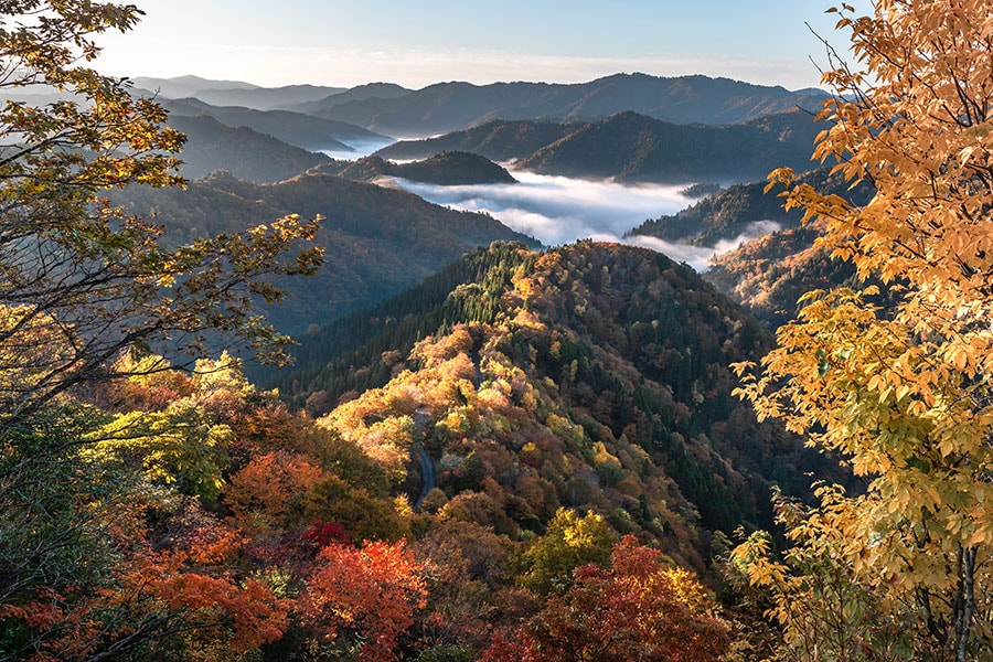 【滋賀県】小入谷の紅葉と雲海。