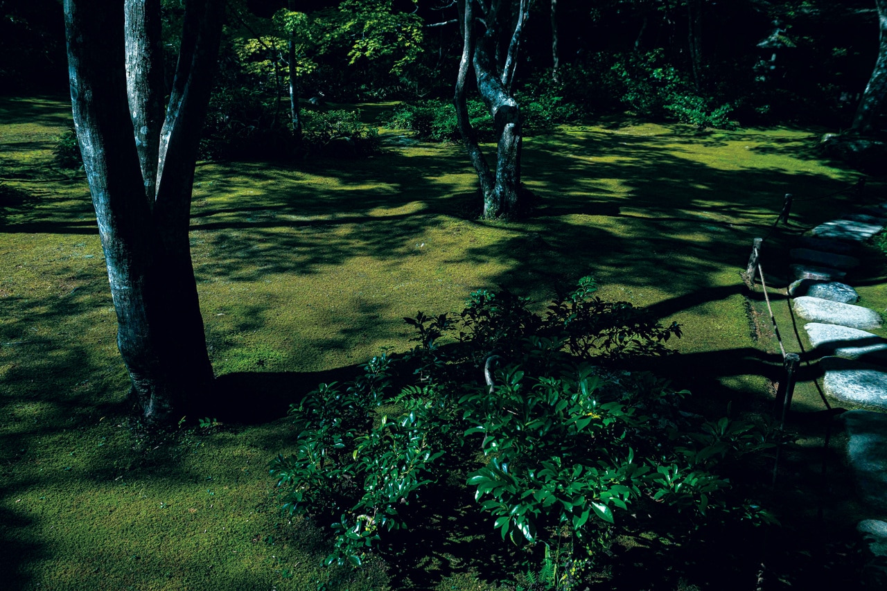 大河内山荘庭園。