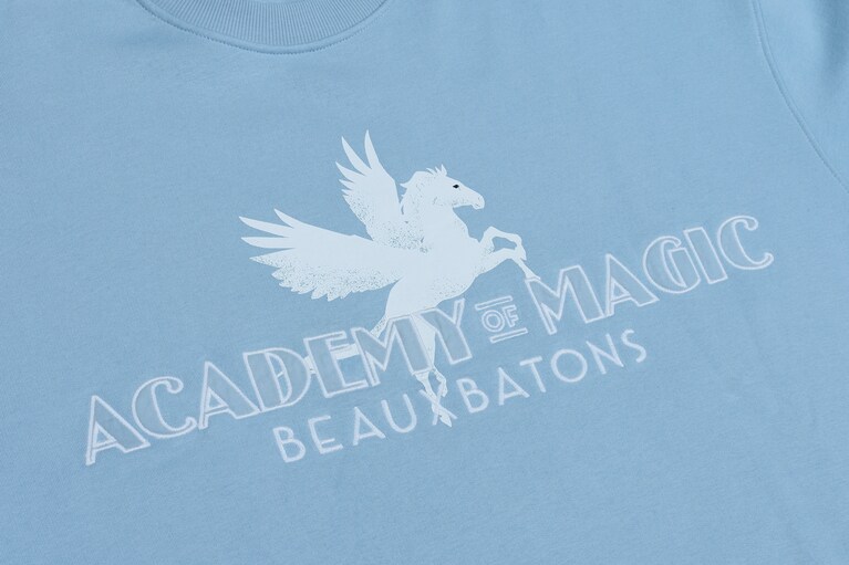 白馬の姿がエレガント。