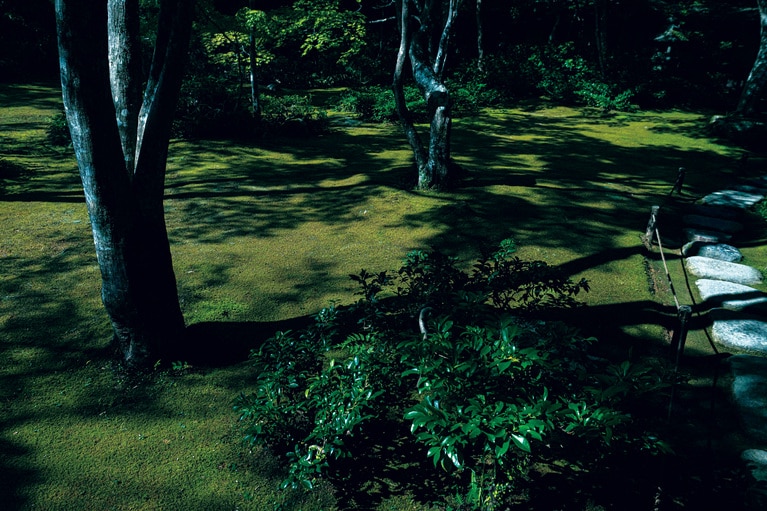 大河内山荘庭園。