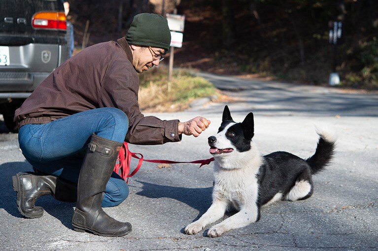 偶然、訓練中のベアドッグに遭遇。現在活躍している２頭の後継者となるべくトレーニングに励んでいるのだそう。