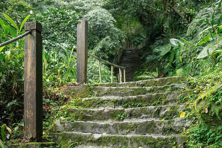 ハイキングスタート！