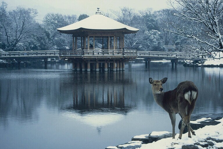 【奈良県】冬の浮見堂。