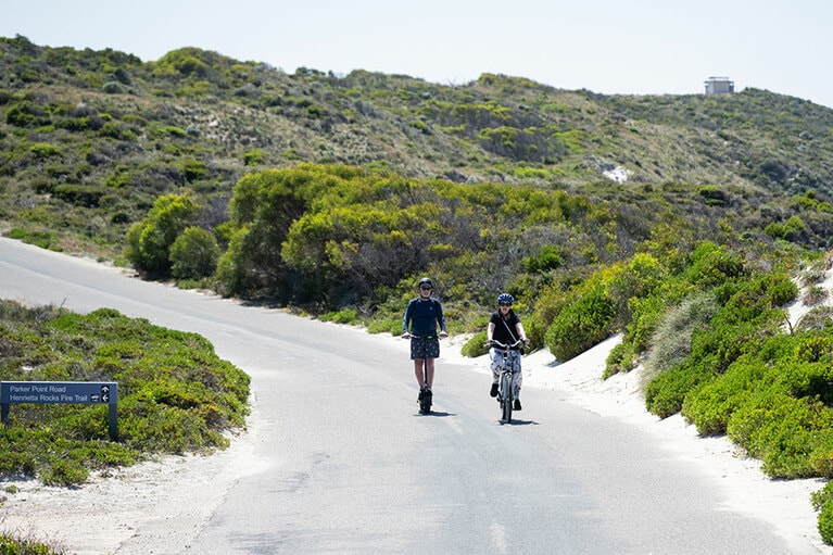 雄大な自然の中を走る。