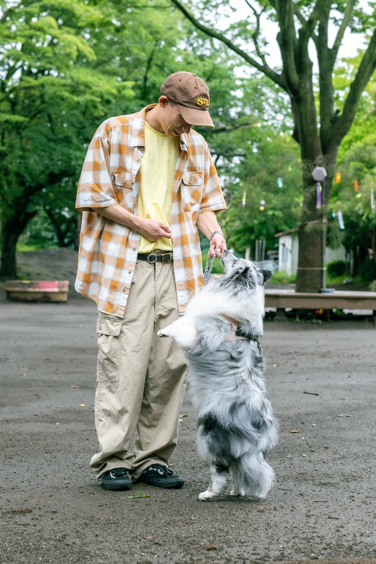 どんぐりたけしさんとぽぬのせき。