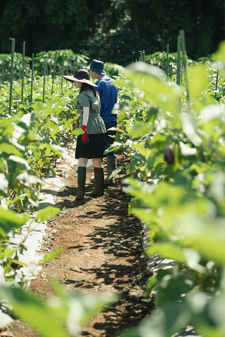 畑でひょっこりとなっている作物を見ると思わず笑顔がこぼれます。