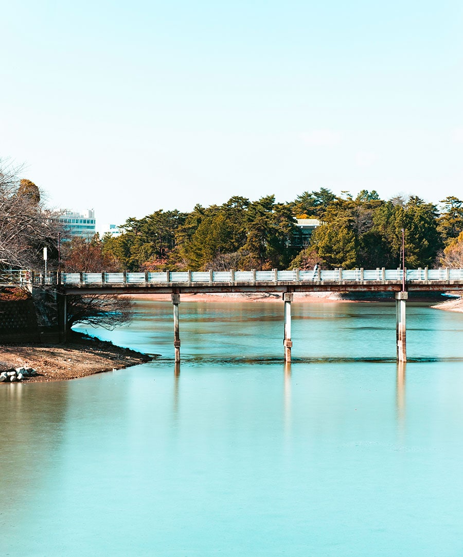 日本最古のため池と言われている蛙股池。橋の奥に見えるのが、緑に覆われた大和文華館。