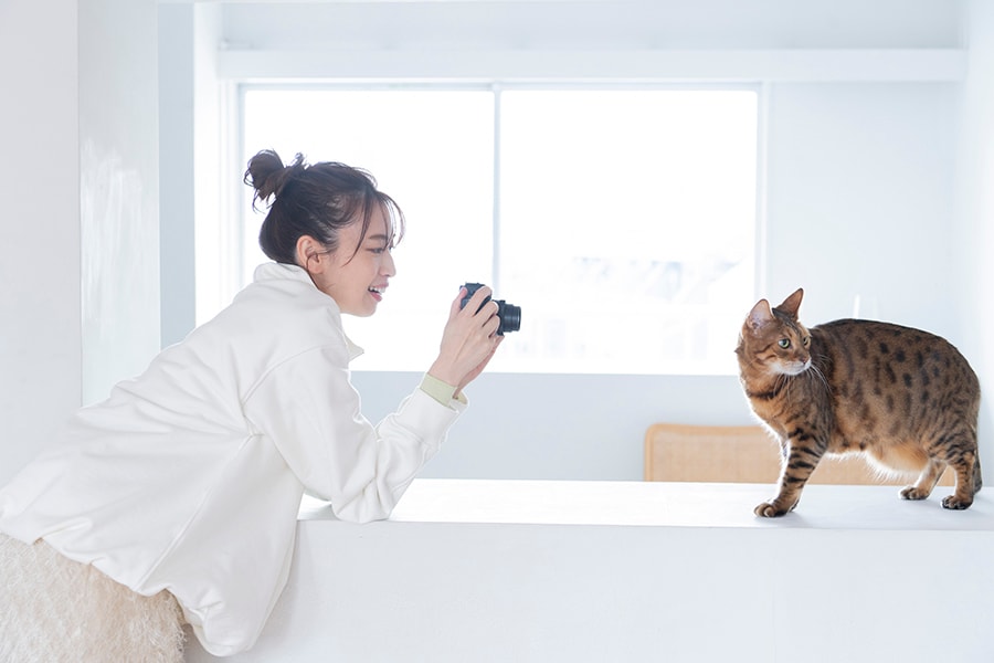 「LUMIX DC-G100D」で愛猫の恭介くんを撮影する宮田さん。