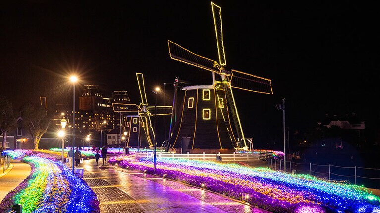 ハウステンボスを象徴する風車とお花畑もこの通り。