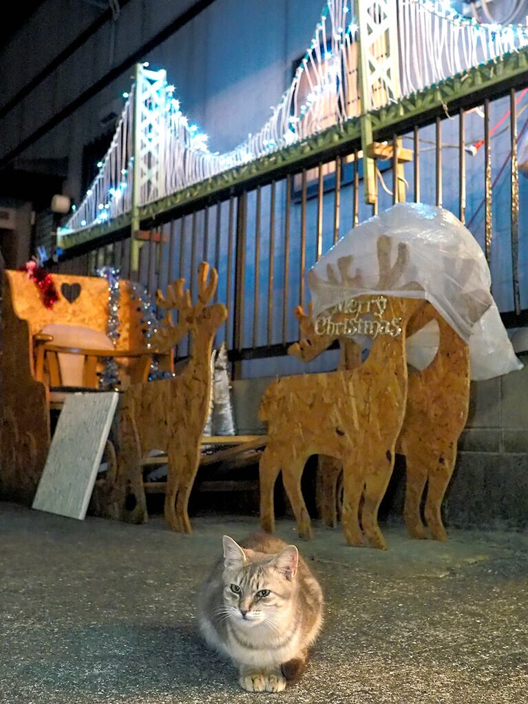 「もうすぐ『クリスマス』ニャ♪ サンタの爺さん……『プレゼント』をまだ積み込んでなかったのニャ！ ネコそぎいただこうと思ってたのにニャ！」