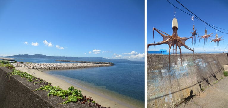左：お店近くの藤江港。向こうに見えているのは淡路島。右：明石名物の蛸を干している光景にも出合いました。