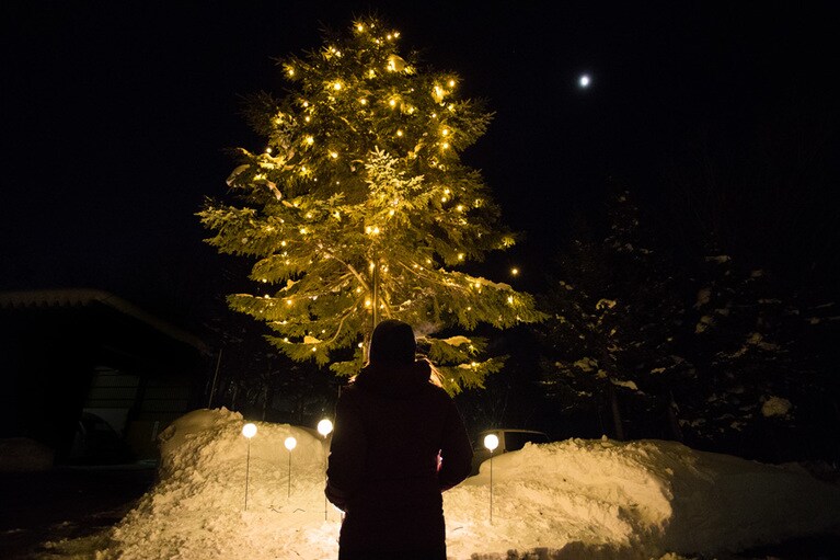 「いこいの湯宿 いろは」では、幻想的なツリーにイルミネーションが点灯。