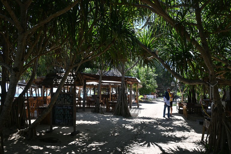 勢いよく枝を伸ばしたアダンの木々が影を落とす、一周道路。