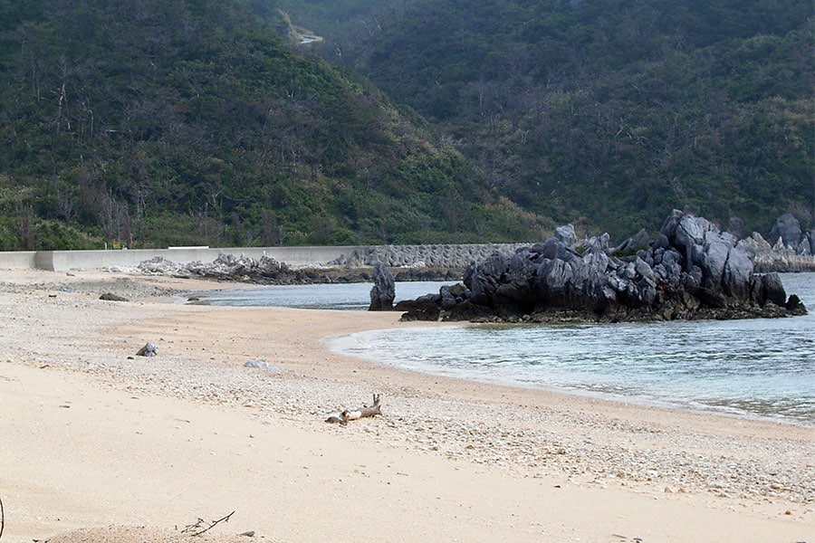 海ガメの産卵地である島の西側の「ユブク浜」。