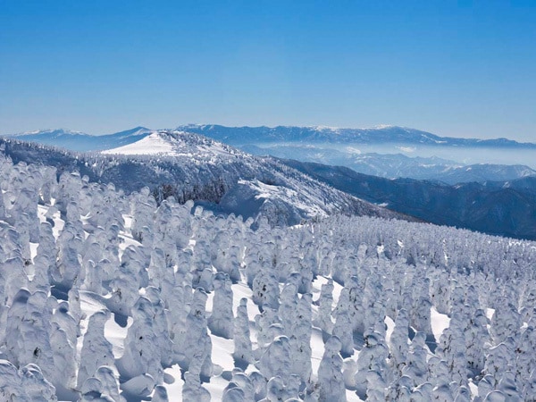 今にも動き出しそうな樹氷はまさにスノーモンスター | 今日の絶景