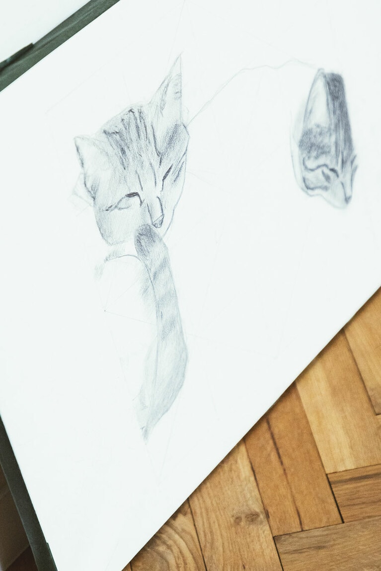 廊下に飾られていたのは、息子さんが途中まで描いた愛猫のデッサン。