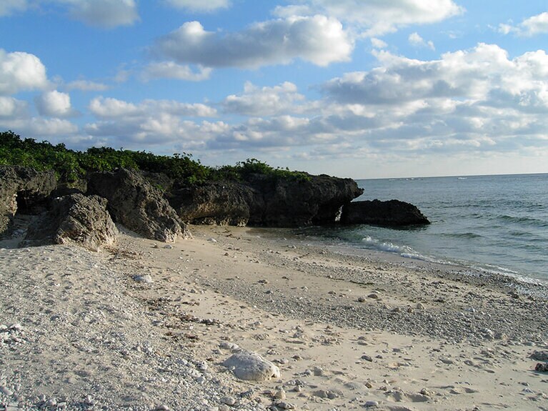 磯の生物を観察したり、のんびりしたり、誰もが楽しめる仲本海岸。