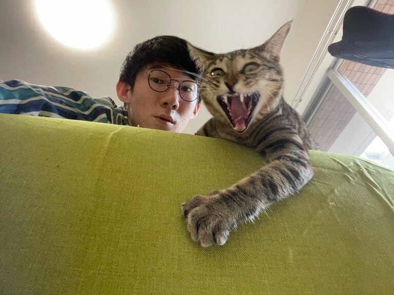 表情豊か(？)な保護猫のハフちゃんと堂前さん。