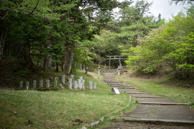 5月半ば、中ノ茶屋や馬返し周辺は美しい新緑の森が気持ちいい。