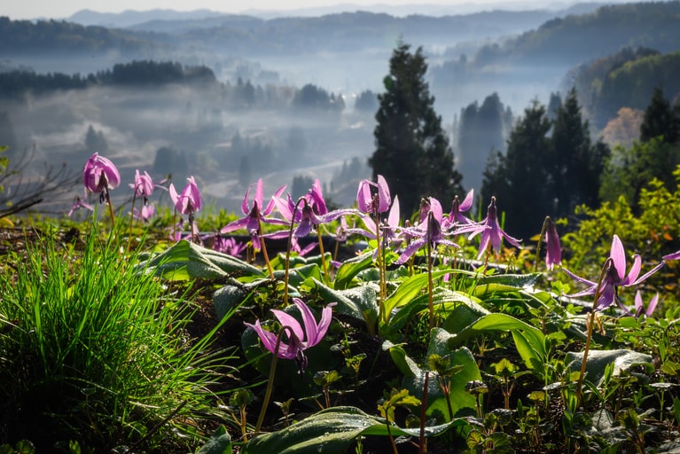 「雪解けの頃」　根岸桂子 2023年4月20日、十日町市星峠