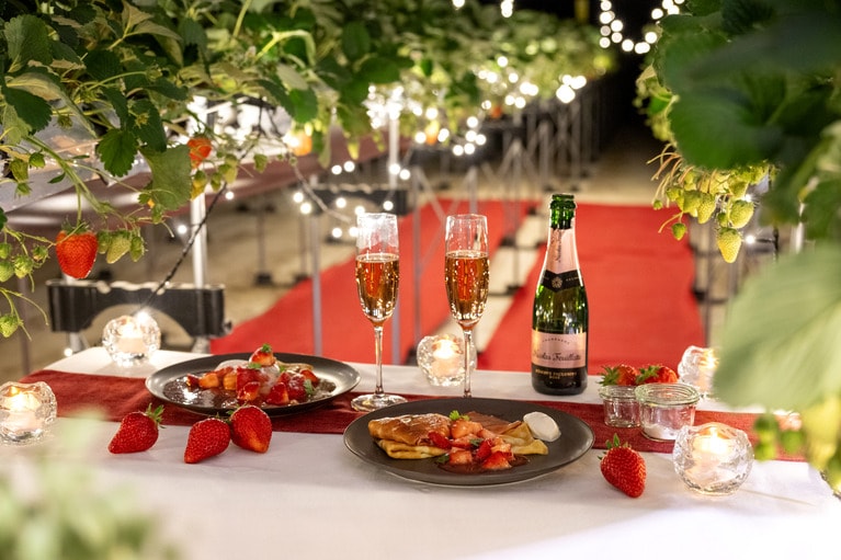 「夜」にいちご狩りをする理由とは？