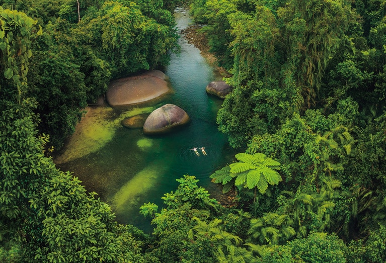 クイーンズランドの湿潤熱帯地域🄫Tourism and Events Queensland