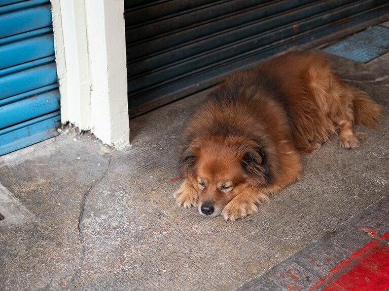 写真＝志水隆、榎本麻美