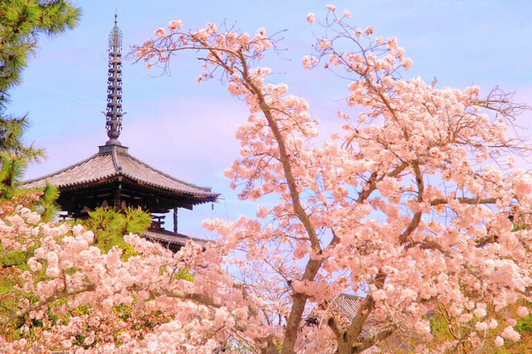 世界最古の木造建築群・法隆寺が本当にすぐそば。