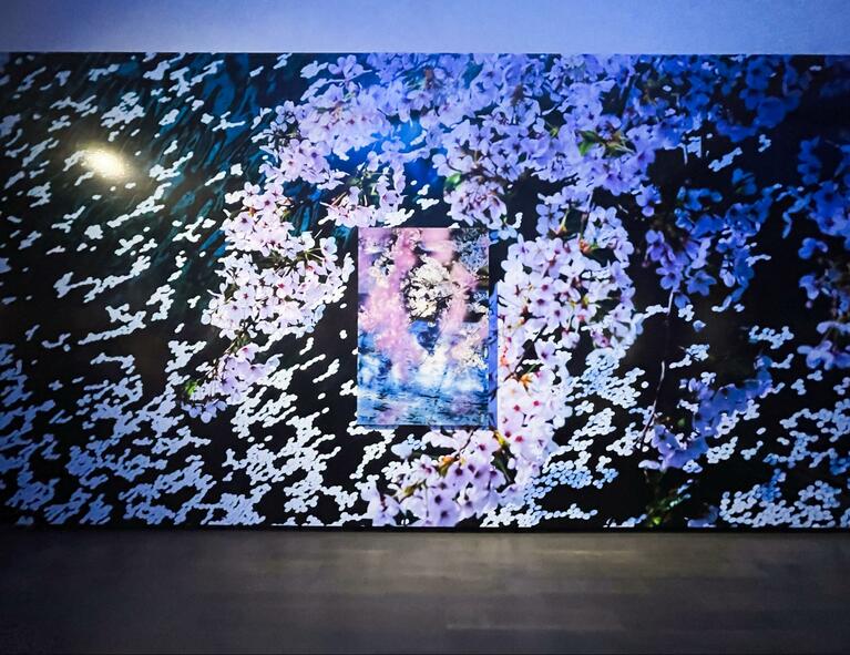 本展会場風景。