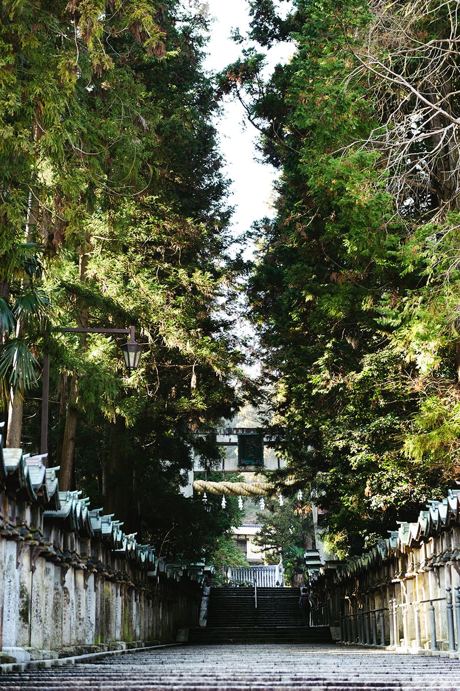 【寳山寺】両側に灯籠が建てられ、階段が続く長い参道を登ってようやく鳥居に辿り着く。木々の隙間から差し込む光が美しい。