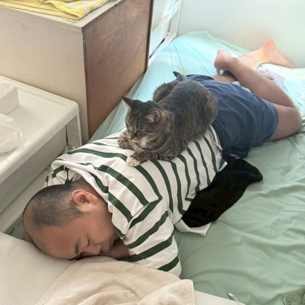 高野さんの上でくつろぐごま吉。