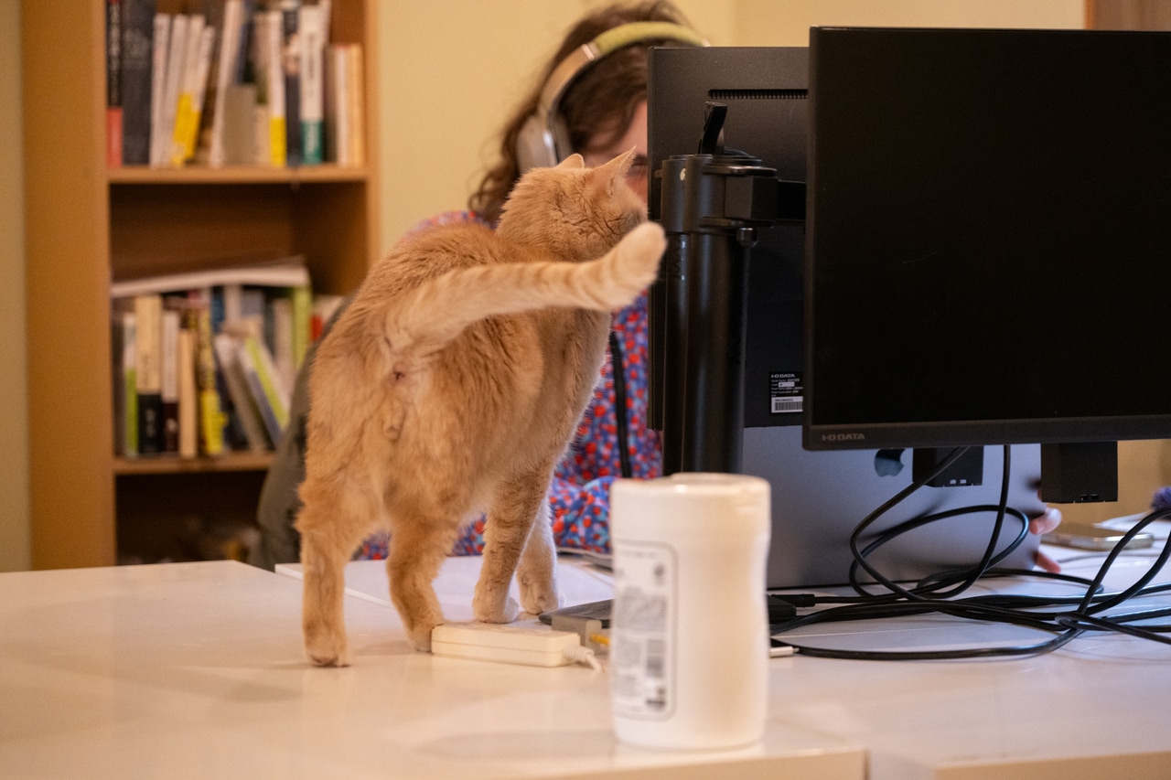 常連利用者のオンライン打ち合わせに乱入。