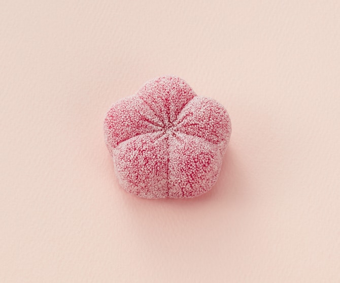 求肥製「 霜紅梅」540円。1月31日（土）まで。