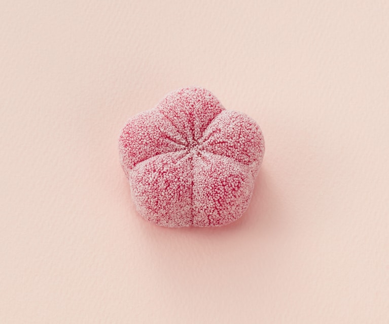 求肥製「 霜紅梅」540円。1月31日（土）まで。