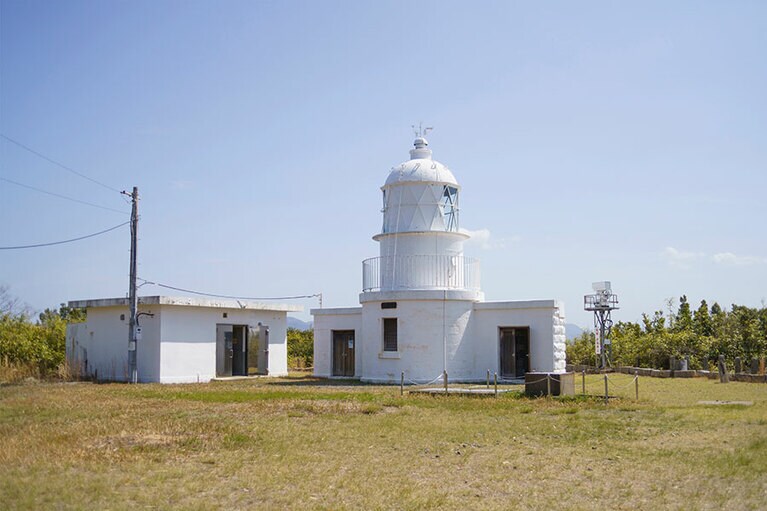 ずんぐりとしたフォルムが可愛らしい