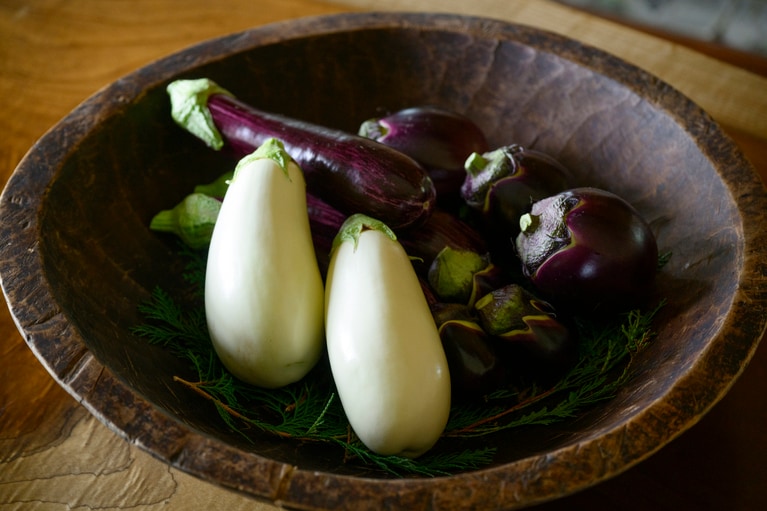 前から時計まわりで、りんごあめなす（白茄子）、ゼブラ茄子、丸茄子。