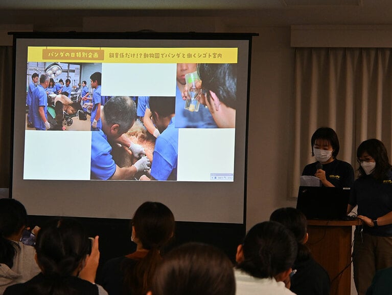 リーリーの精液を採取。