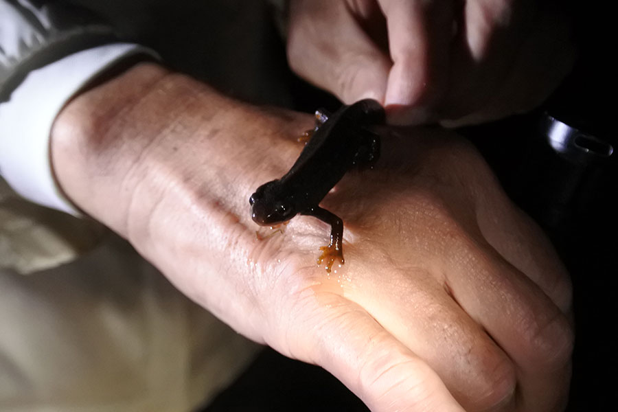 ガイドが連れてきてくれた生物に興味津々。