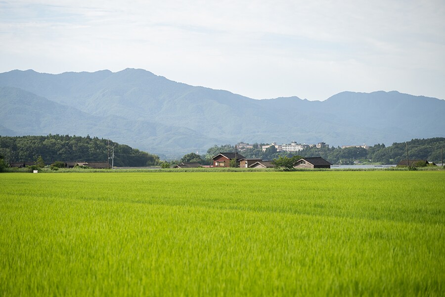 佐渡の中心部にある国中平野は、島であることを忘れるほど広い田んぼが続きます。トキとの共生を目指した伝統的な農業は世界的に評価され、日本で初となる世界農業遺産（GIAHS）に認定。