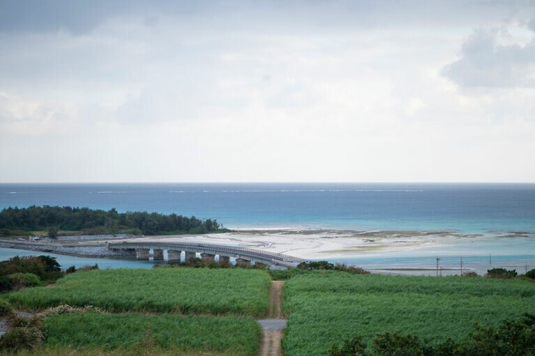 青い海と広大な畑を見下ろす、解放感抜群の眺望。