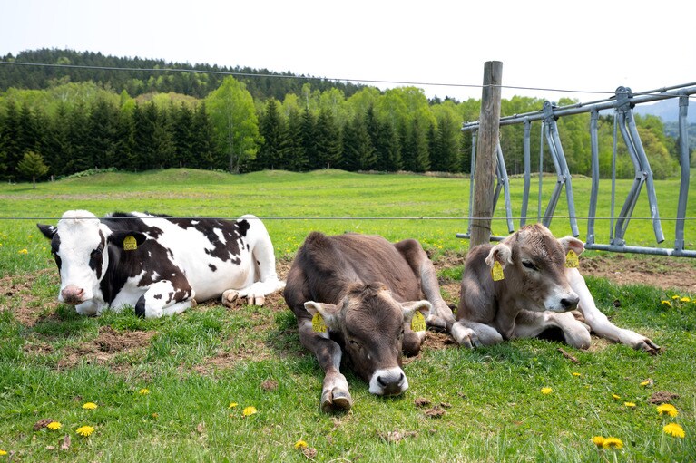 そろそろ反抗期？