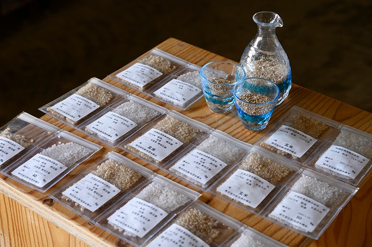 売店には、これまで採用してきた酒米の展示も。