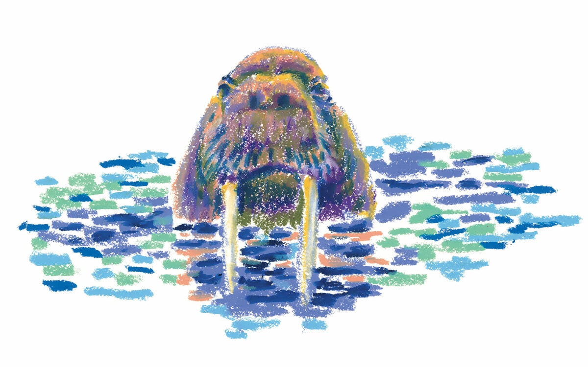 角幡唯介が北極の氷海で見た 恐ろしい妖怪海坊主の正体 | 角幡唯介の