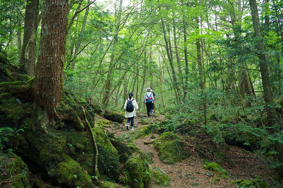 ゴツゴツとした溶岩台地をウォーキング。吹き出す汗が気持ちいい。