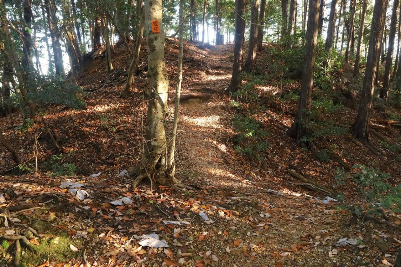 堀切は両サイドに竪堀となって落ちている