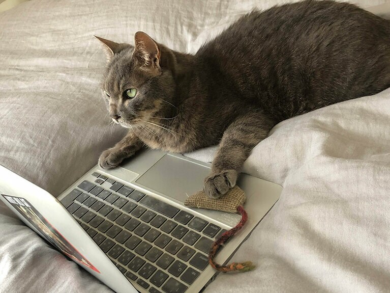 「たくさんのご応募お待ちしてます！」