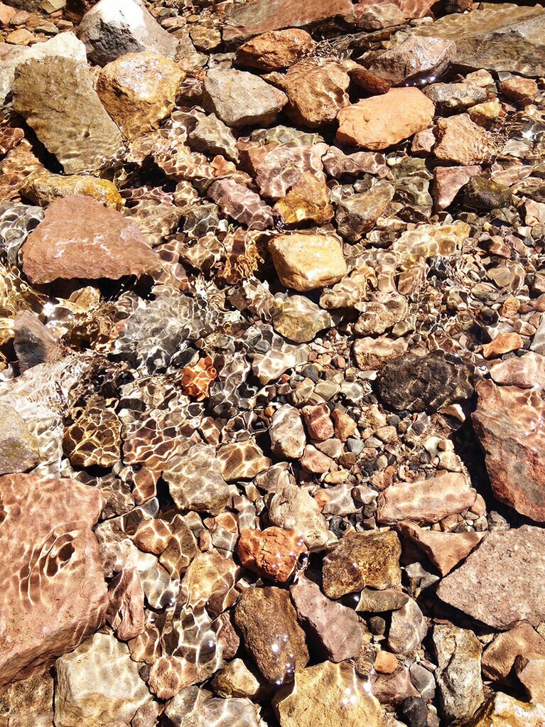 写真集「SHASTA」より ©Ellie Omiya