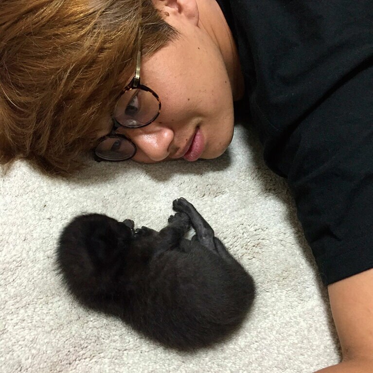 我が家に来た当初の助六。『保護ネコに幸せにしてもらった僕の推しネコ活』（主婦の友社）より